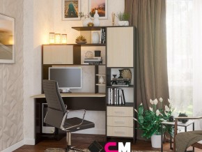 Компьютерный стол №6 в Качканаре - kachkanar.magazinmebel.ru | фото