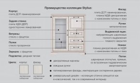 Прихожая модульная Стилиус в Качканаре - kachkanar.magazinmebel.ru | фото - изображение 2