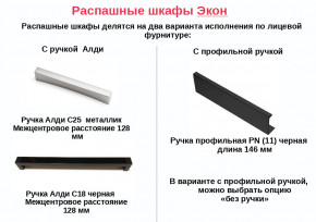 Шкаф для одежды со штангой Экон ЭШ1-РП-24-4-R с зеркалом в Качканаре - kachkanar.magazinmebel.ru | фото - изображение 2